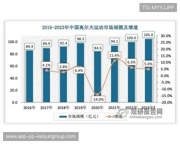 篮球项目在中国青少年生涯规划教育中的作用探析，青少年篮球教育行业分析